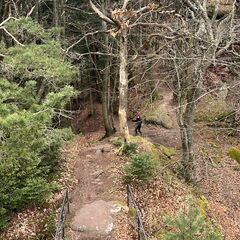 23-03-04 15-37-34 4730